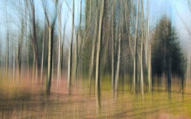 Moved wood