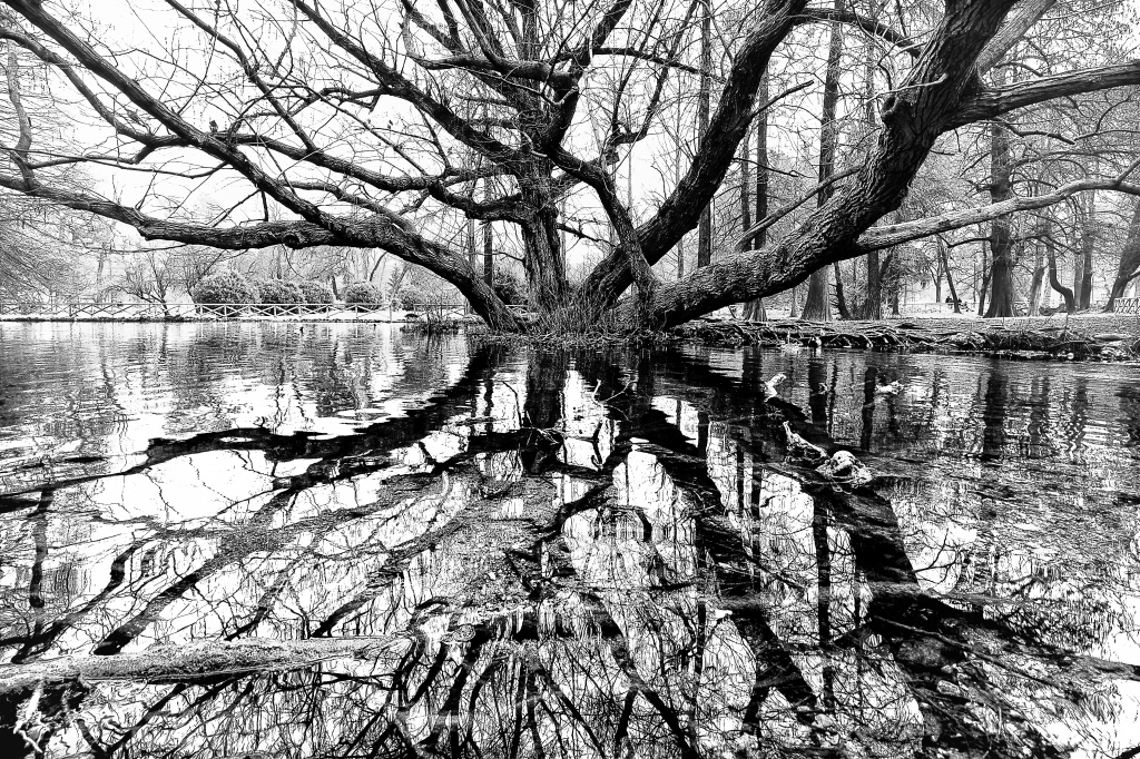 Parco Sempione, Milan