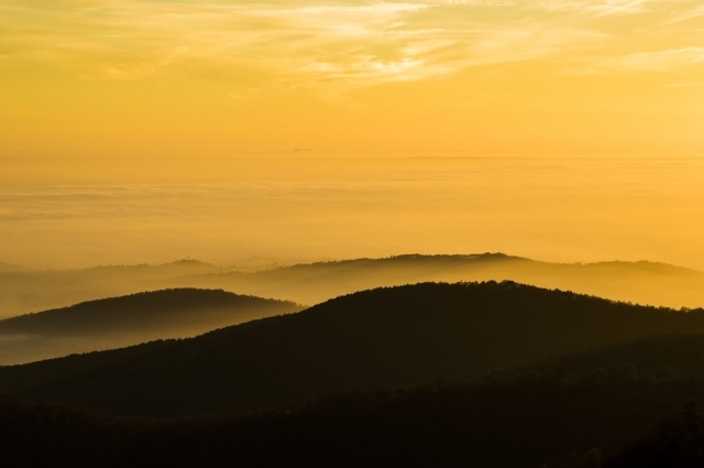 Hills in the fog