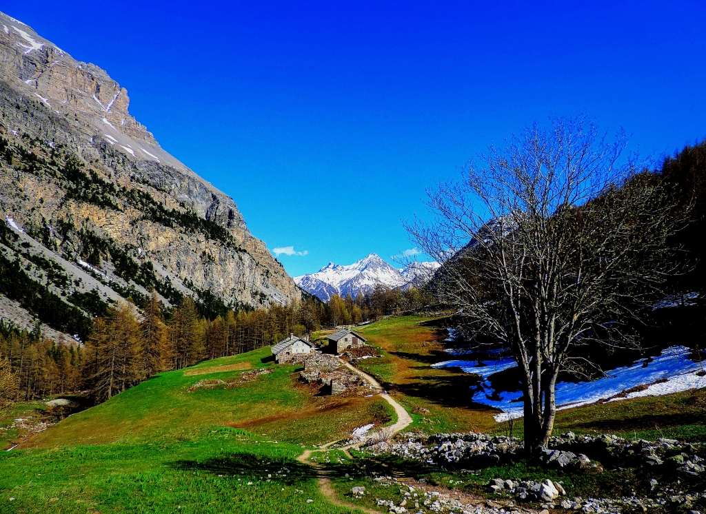 Paesaggio montano..