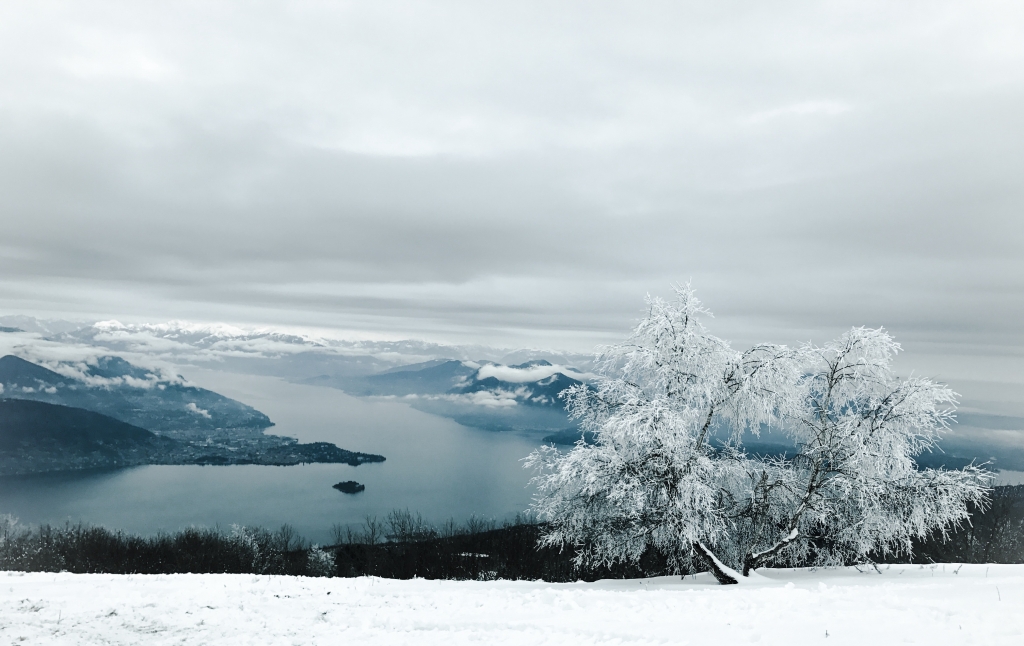 Meraviglioso paesaggio invernale