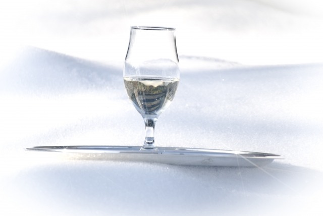 Sulla neve · silbongia