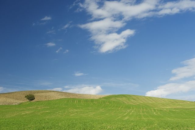 XPecial landscape