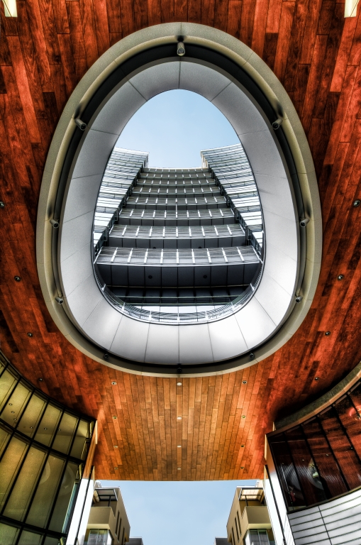 The egg