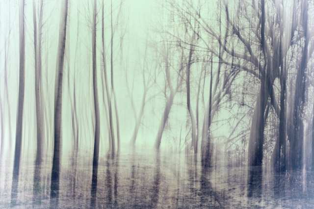 Ghosts