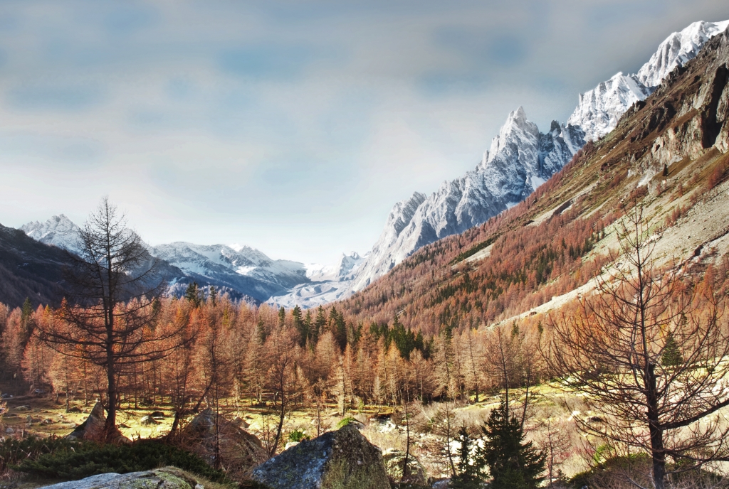 Il Monte Bianco