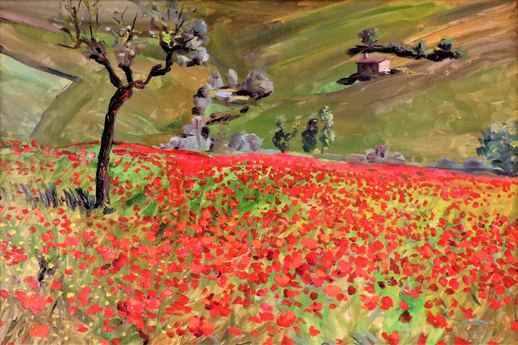 Papaveri nella campagna fermana