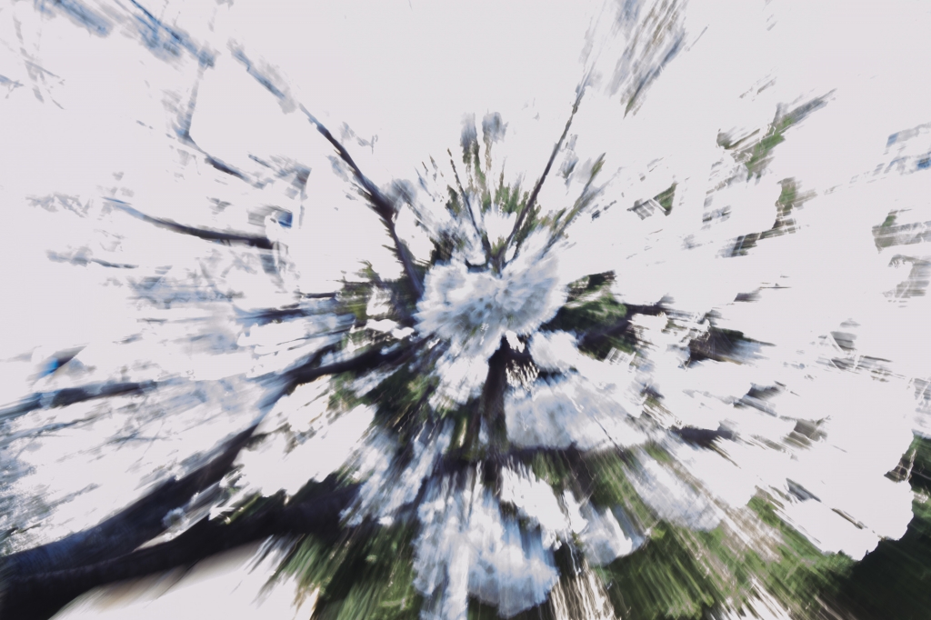Spring Explosion