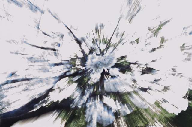 Spring Explosion