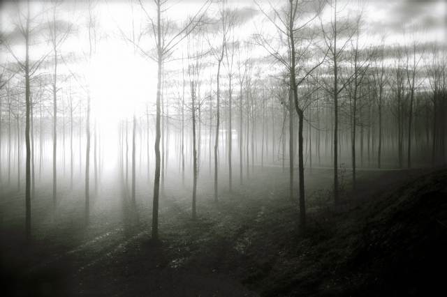 Shine · alamontanara