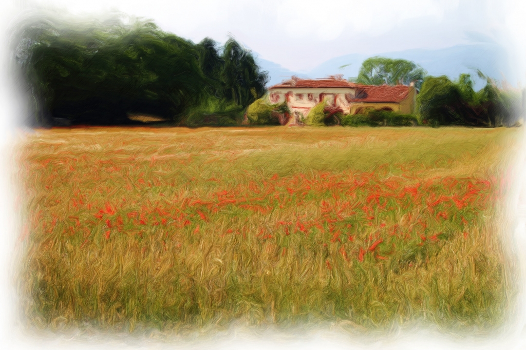 Scorcio di campagna