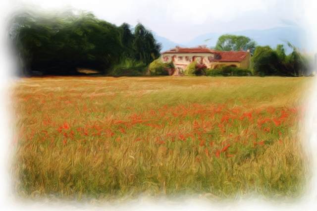 Scorcio di campagna