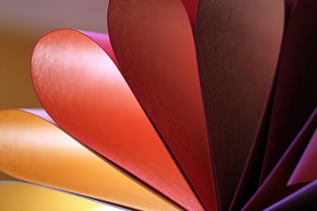 petali di carta