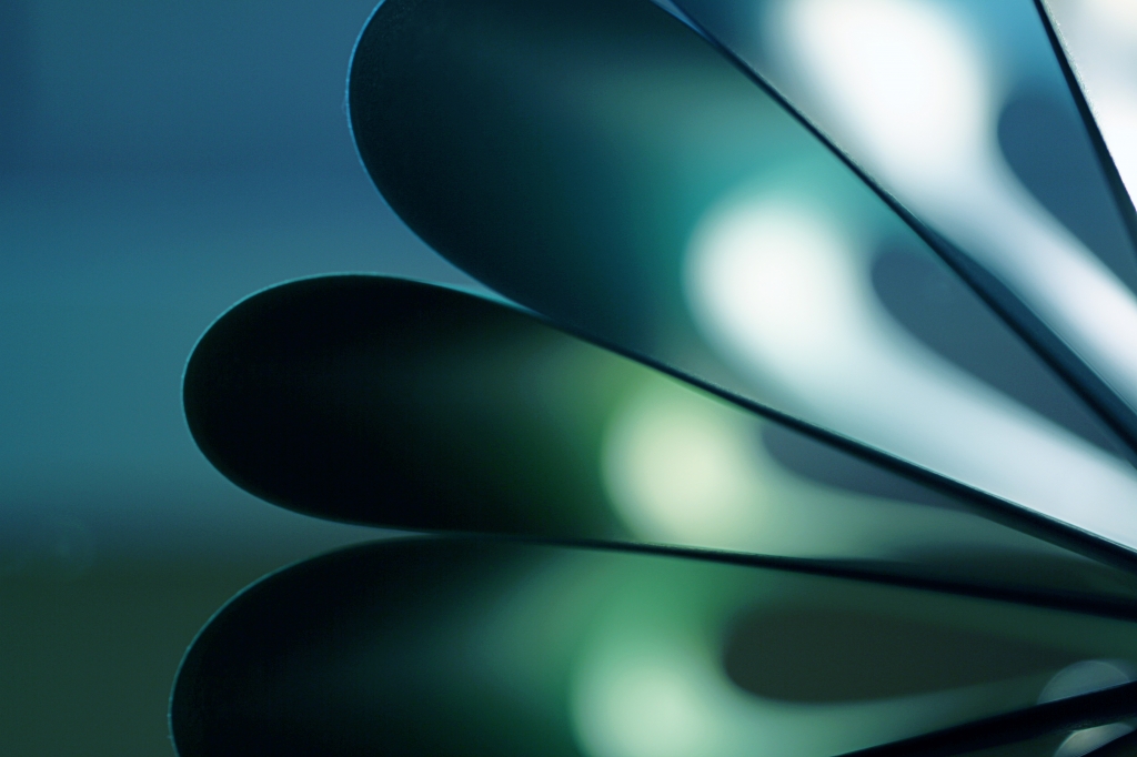 petali di carta verde blu