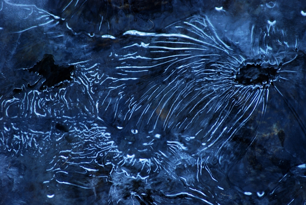 flussi