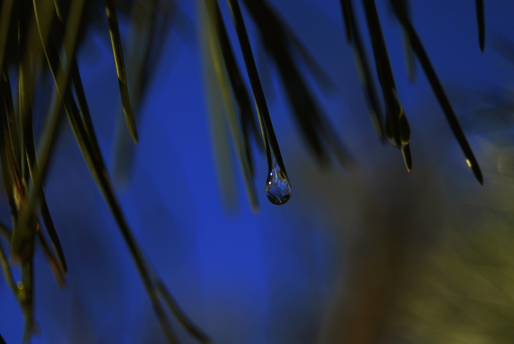 goccia