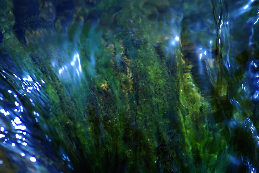 Acqua e natura