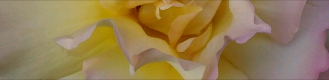 sfumature2