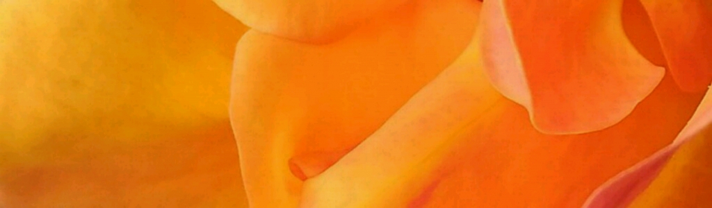 sfumature3