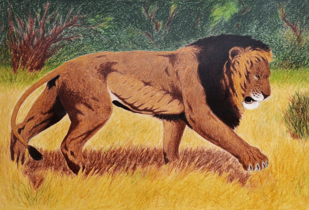 leone nella savana