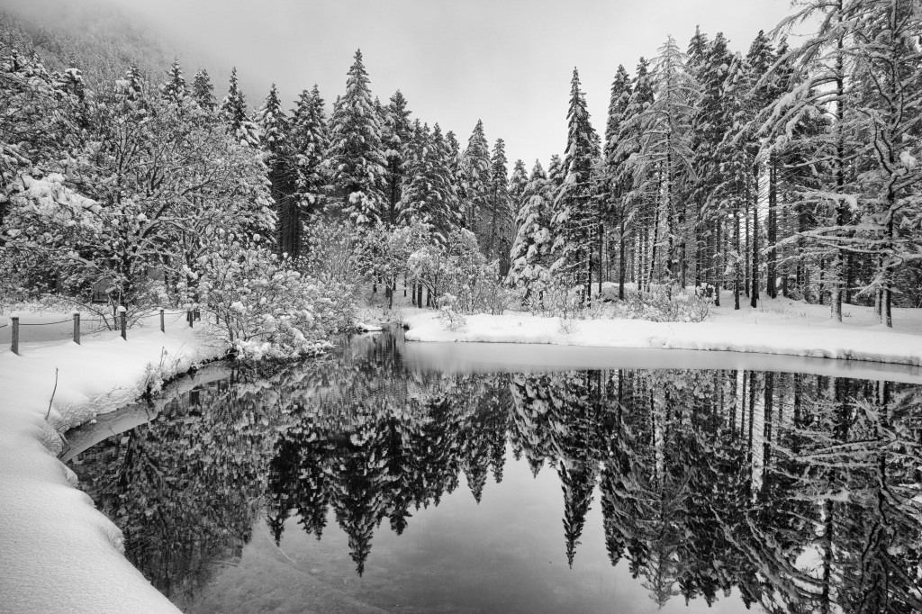 Il riflesso degli alberi innevati nel lago