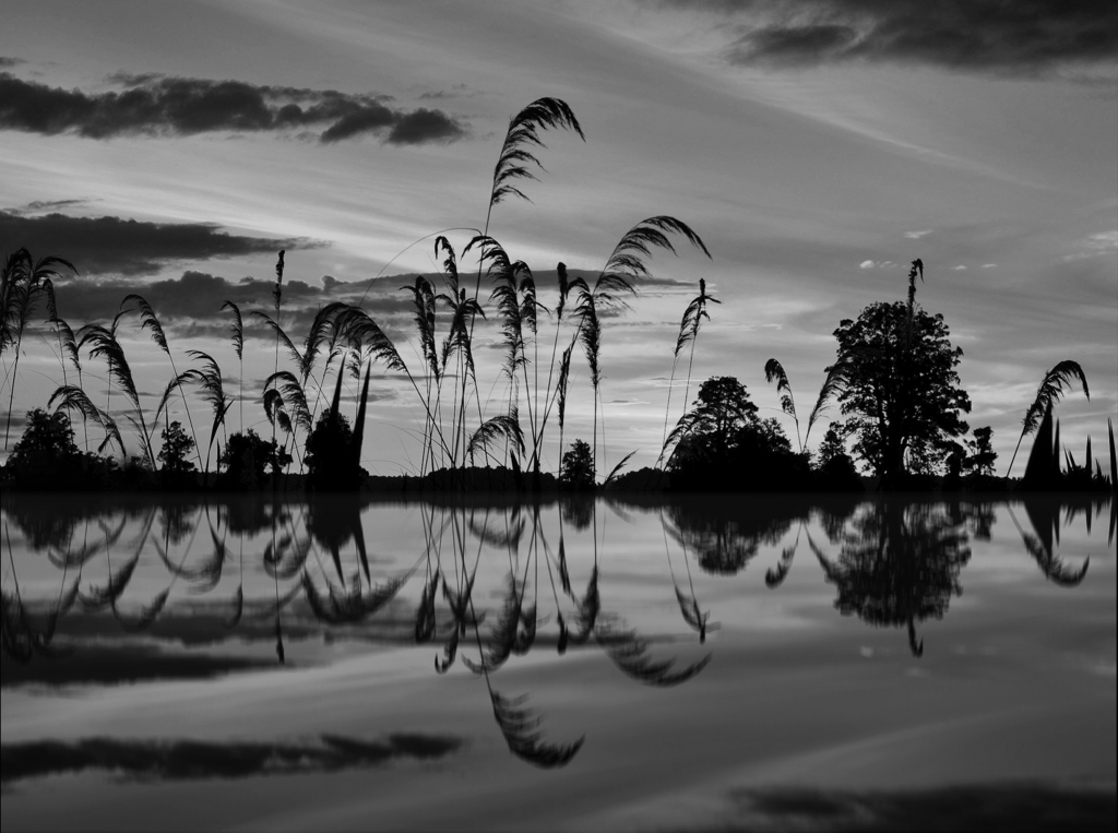 Riflessi toscani