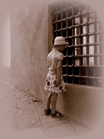 curiosity · graziellataibi