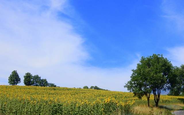 un giorno in provenza