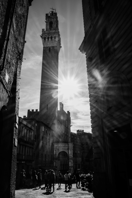 Siena in Backlight