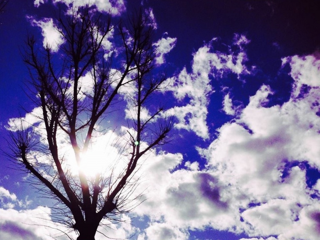 Magic Clouds