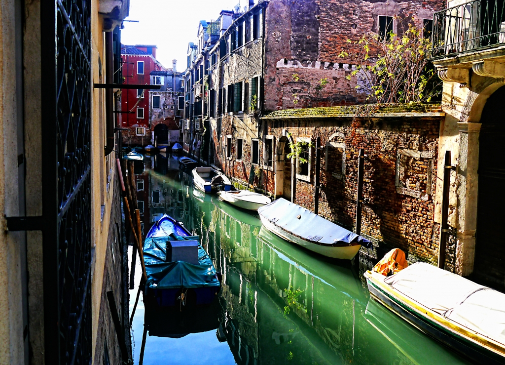 Venezia
