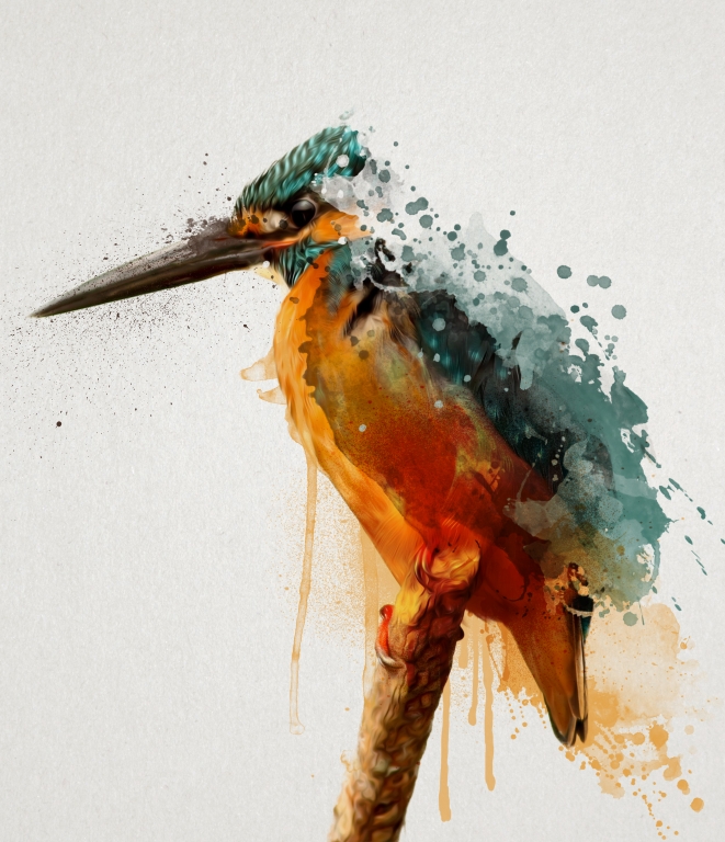 Kingfisher