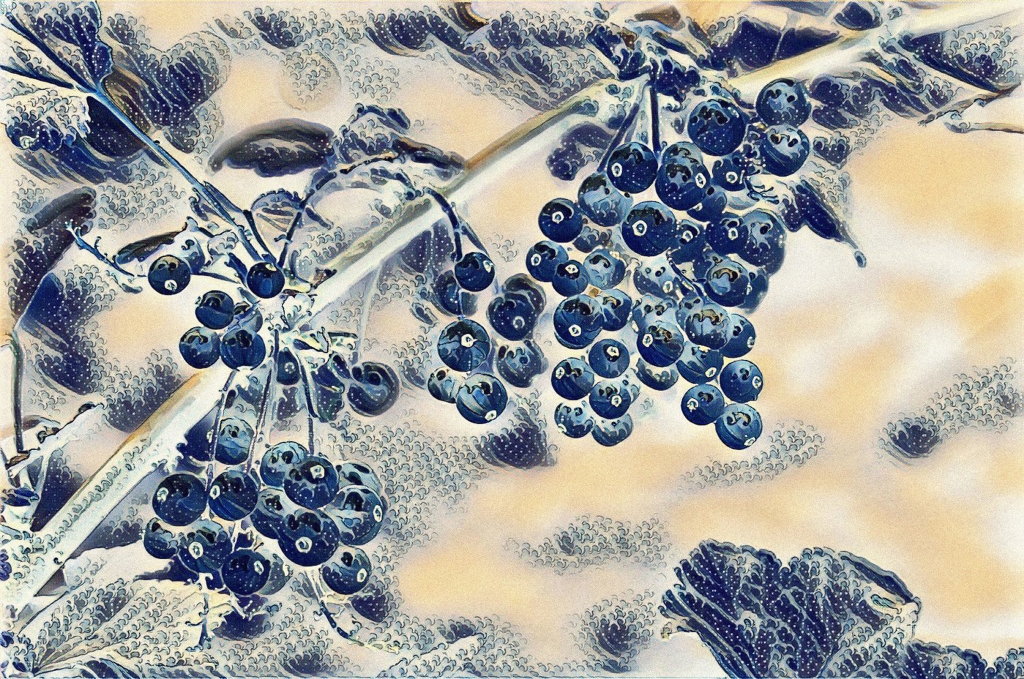 Natura #4