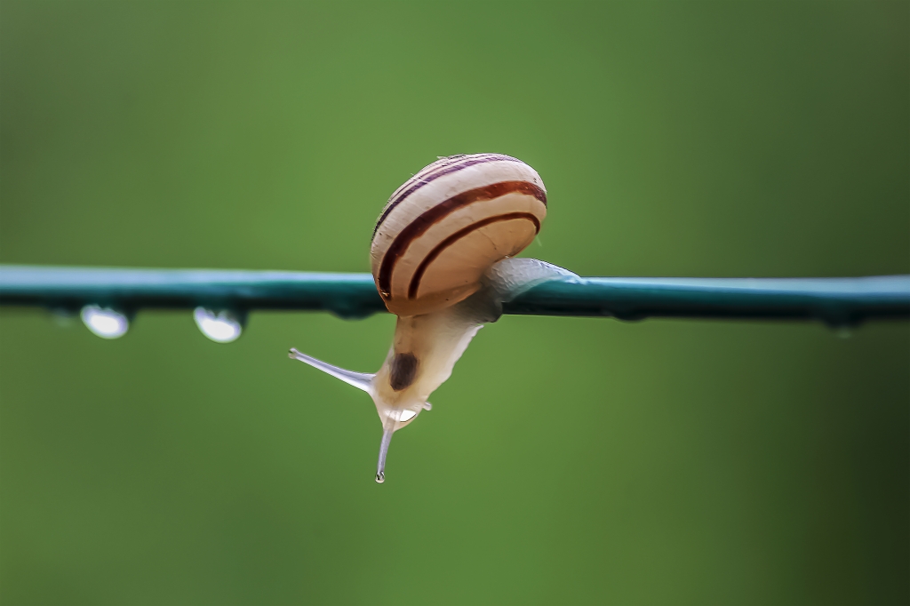 Equilibri
