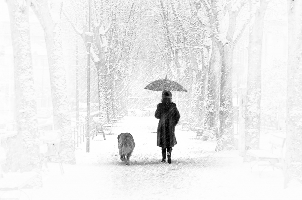 Passeggiata sotto la neve
