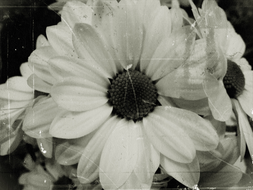 Vintage