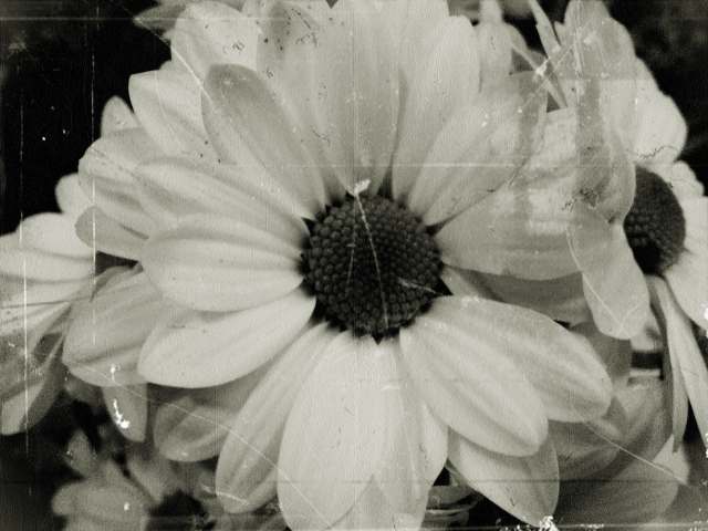 Vintage