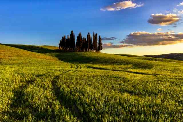 Colline toscane