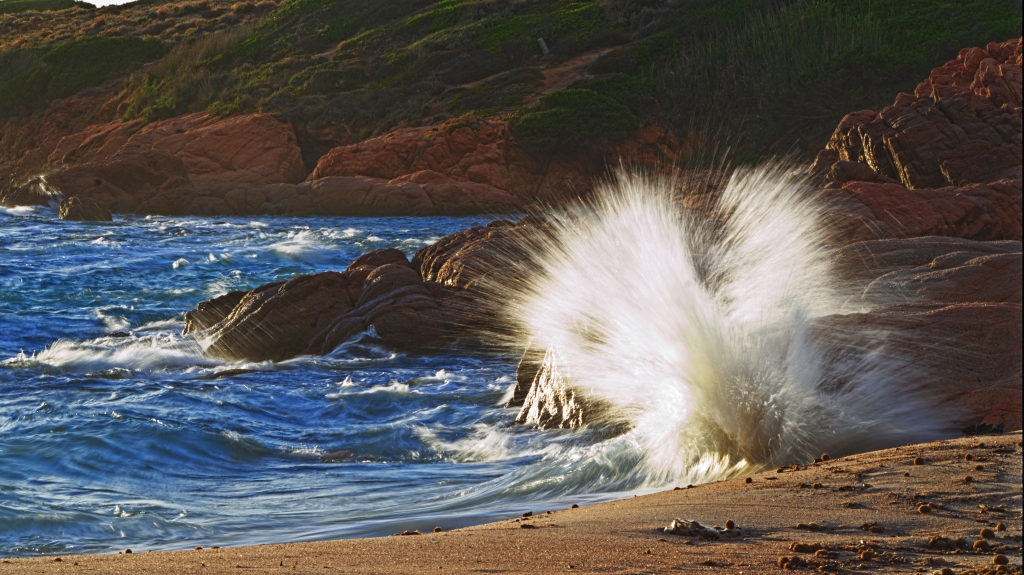Splash