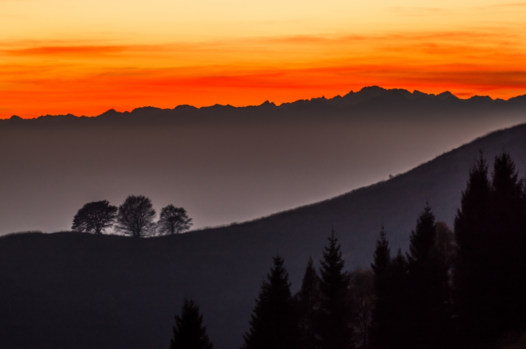 Ombre al tramonto