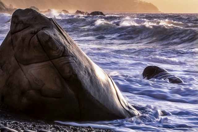 Frangionde naturale · andreacapizzi79