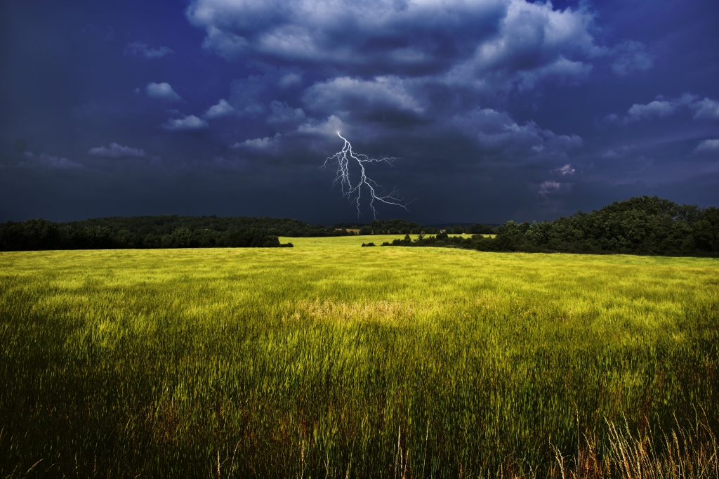 temporale sul campo di grano