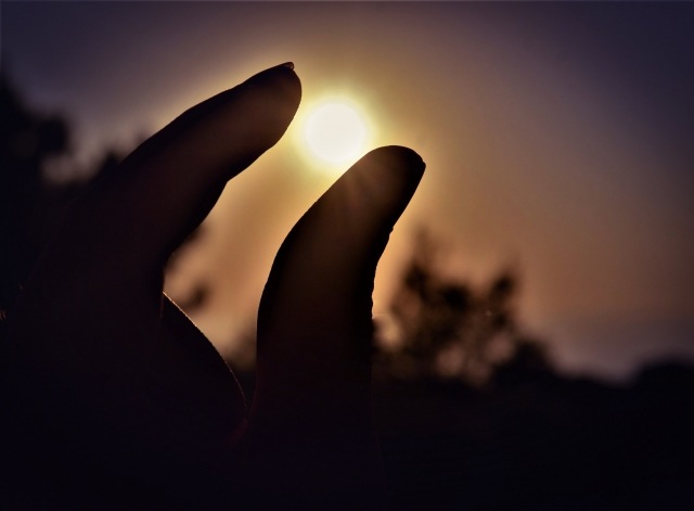 THE SUN