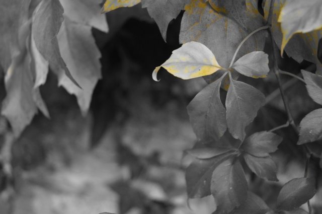L'autunno