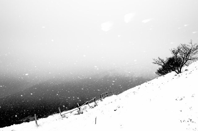Sotto la neve