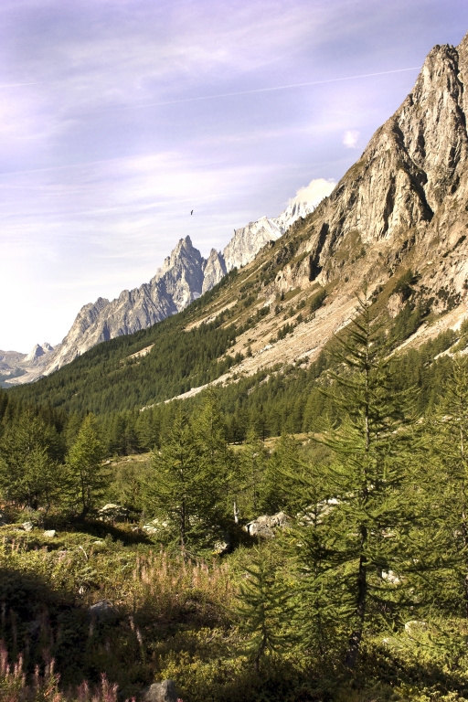 Il monte Bianco