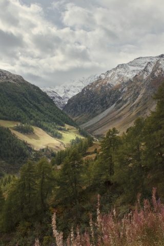Vallata alpina