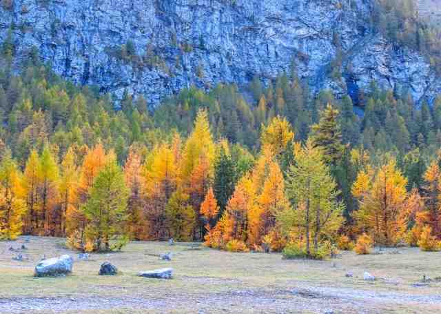 L'autunno, Piemonte