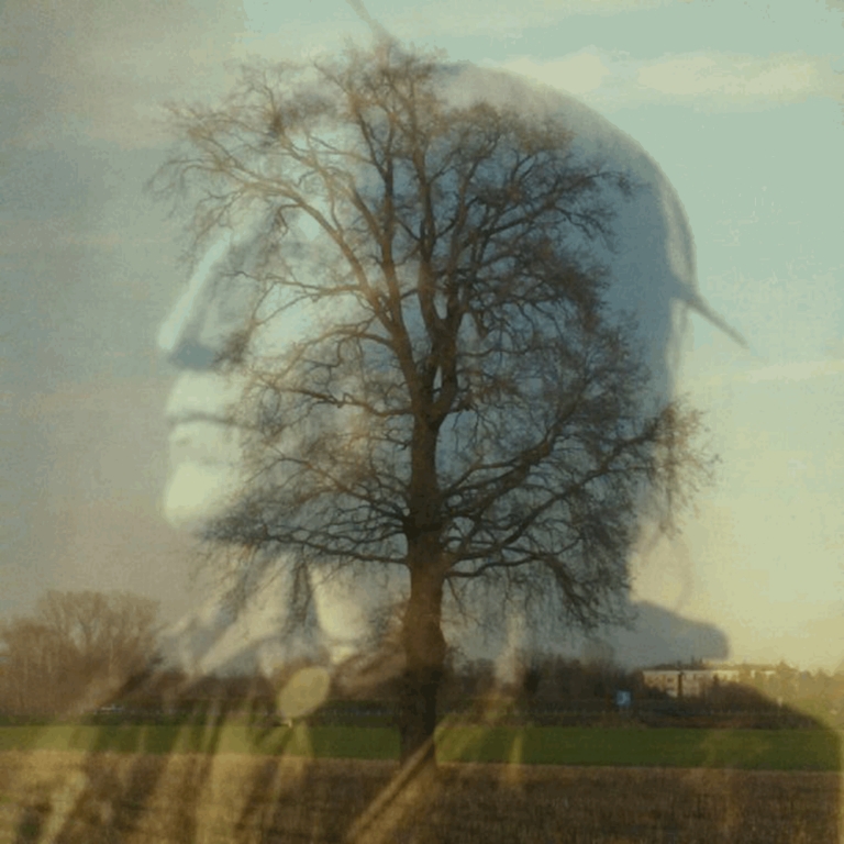 Crazy Horse