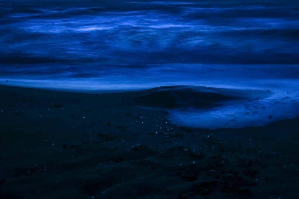 Marecielo